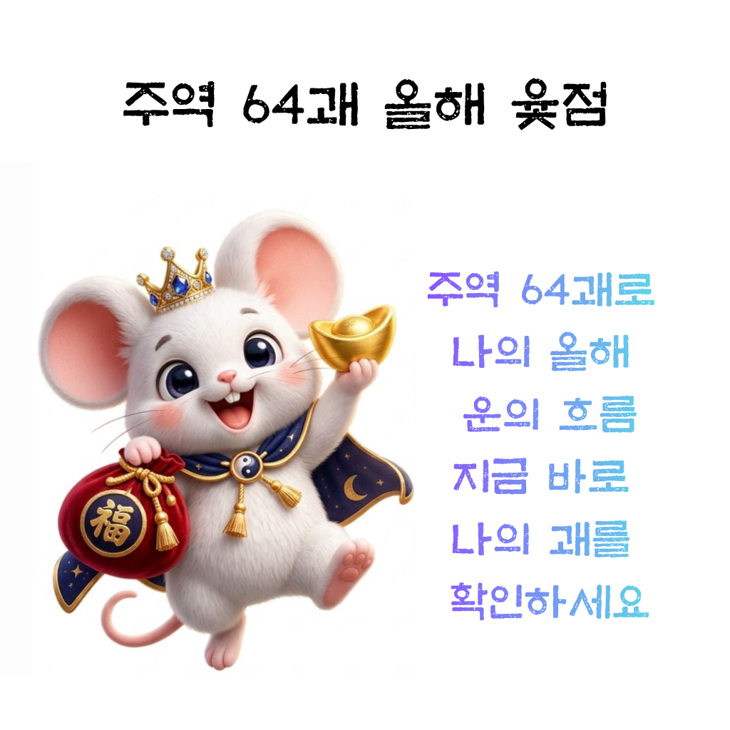 주역64괘 올해윷점